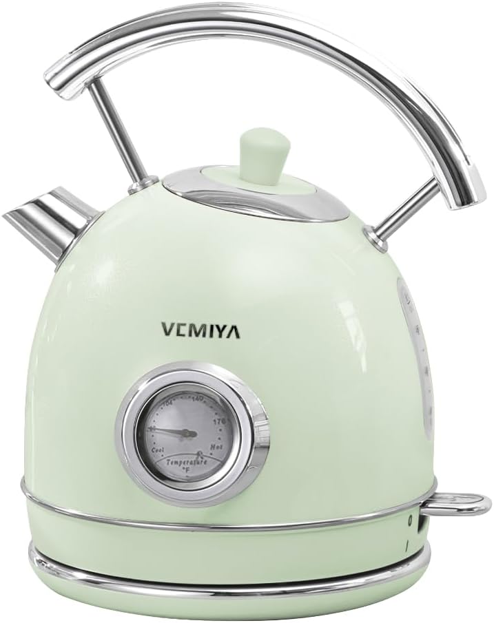 VEMIYA Retro Mint Green Electric Kettle