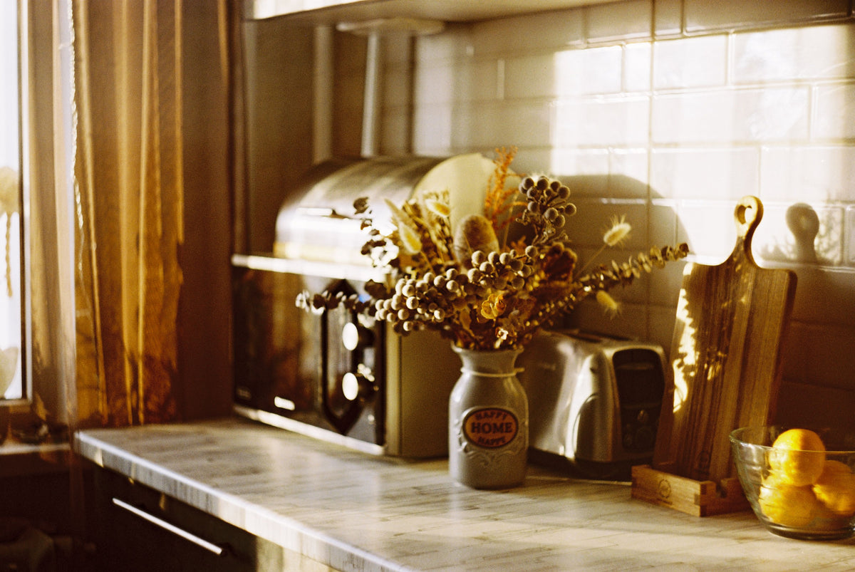 Cozy kitchen corner with toaster, decor, and counter under warm sunlight.